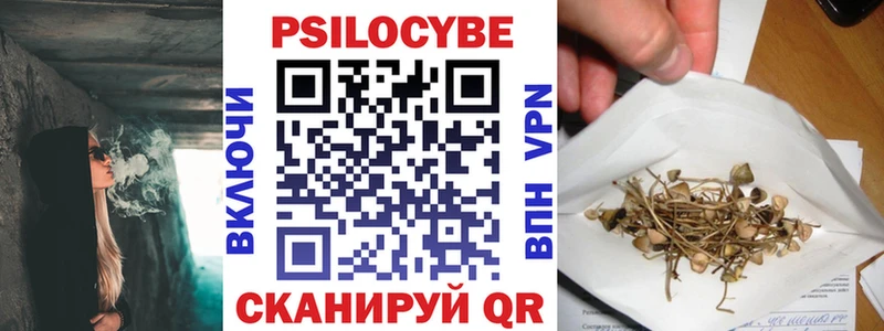 Галлюциногенные грибы прущие грибы  Купить закладки  Великий Устюг 