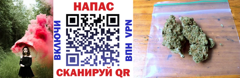 Бошки Шишки SATIVA & INDICA  Купить  Великий Устюг 